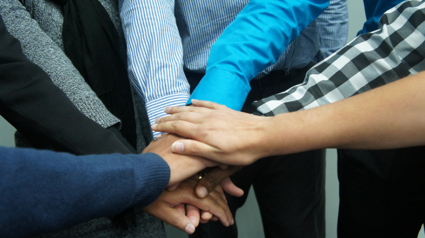Instead of Focusing on Competitors, Tend Your Own Garden